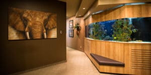 Signature Orthodontics Fish Tank