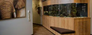 Signature Orthodontics Fish Tank